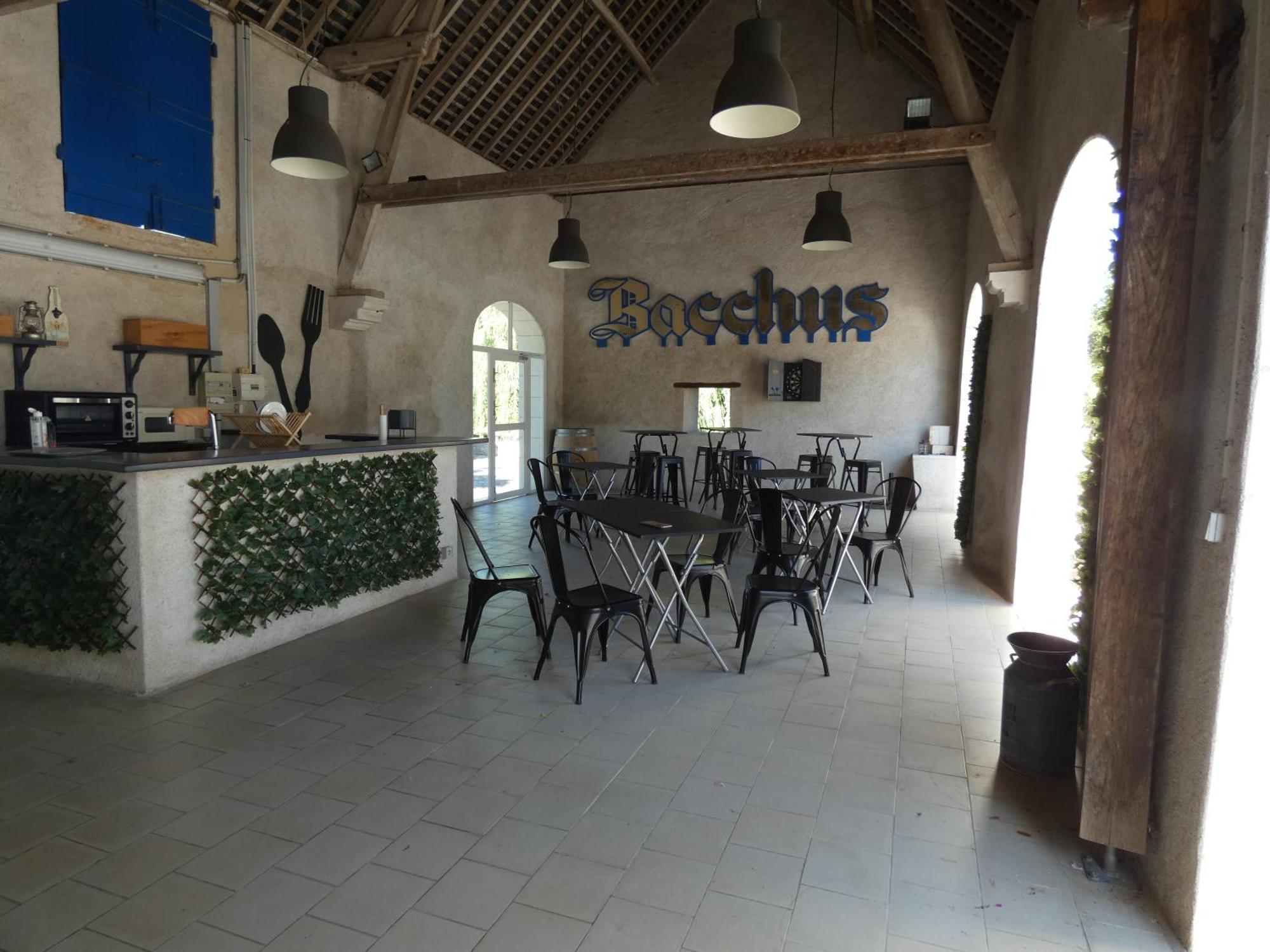 Moulin De Bacchus - Chateaux De La Loire Chançay Esterno foto
