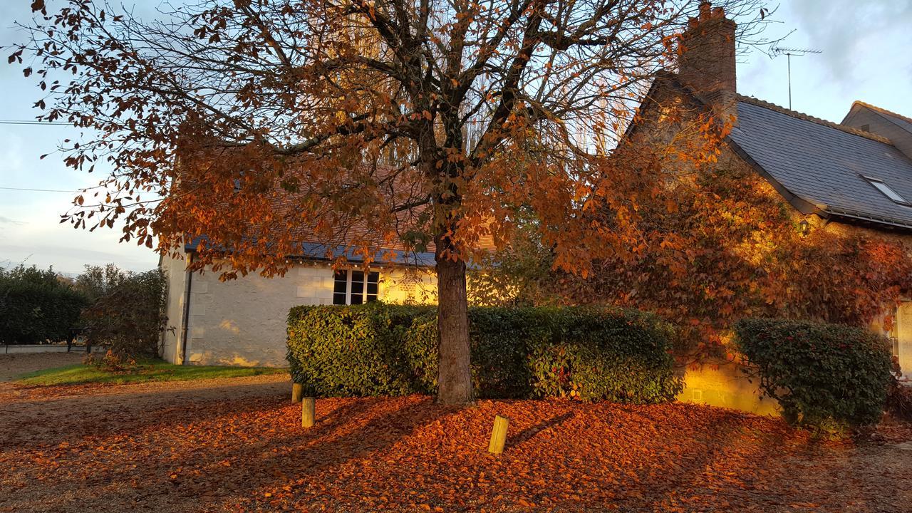 Moulin De Bacchus - Chateaux De La Loire Chançay Esterno foto