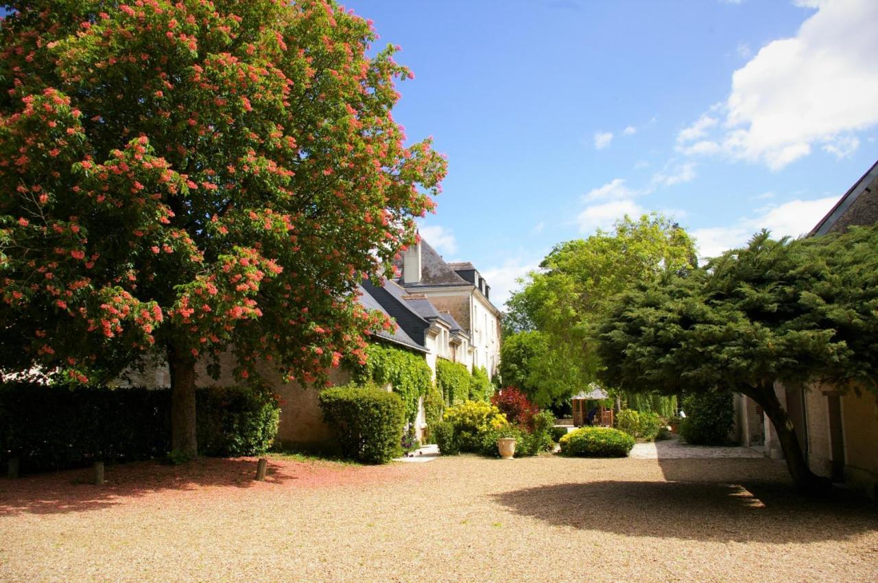 Moulin De Bacchus - Chateaux De La Loire Chançay Esterno foto